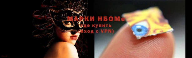 гидра Новокубанск