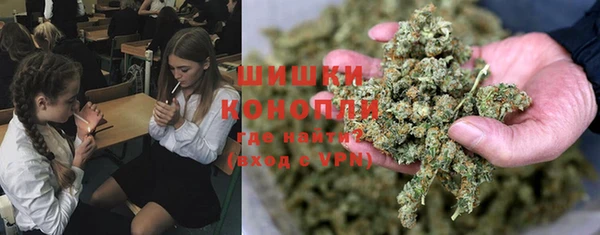 прущий лед Новозыбков
