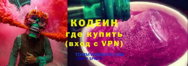 прущий лед Новозыбков