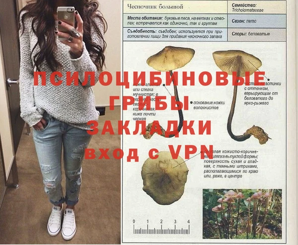 прущий лед Новозыбков