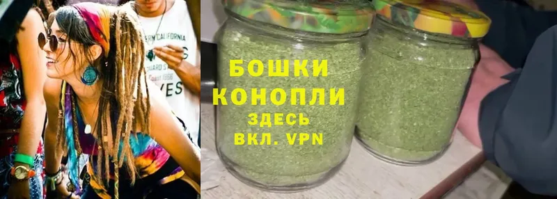 Бошки марихуана Amnesia  как найти закладки  hydra   shop наркотические препараты  Куртамыш 